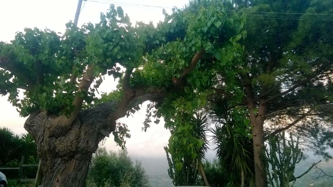 Casa Vacanze Diamante Ogliastro Cilento Exterior foto